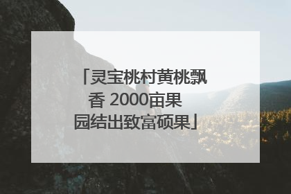 灵宝桃村黄桃飘香 2000亩果园结出致富硕果