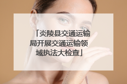 炎陵县交通运输局开展交通运输领域执法大检查
