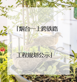 烟台一上跨铁路工程规划公示