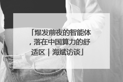 爆发前夜的智能体，落在中国算力的舒适区｜海斌访谈