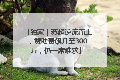 独家｜苏超逆流而上，赞助费飙升至300万，仍一席难求