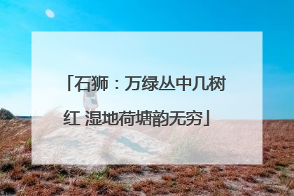 石狮：万绿丛中几树红 湿地荷塘韵无穷