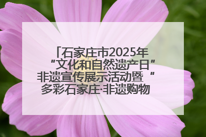石家庄市2025年“文化和自然遗产日”非遗宣传展示活动暨“多彩石家庄·非遗购物节”倒计时1天