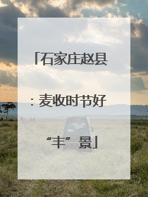 石家庄赵县：麦收时节好“丰”景