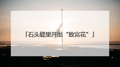 石头缝里开出“致富花”