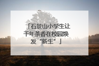 石景山小学生让千年茶香在校园焕发“新生”