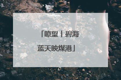 瞭望丨碧海蓝天映煤港