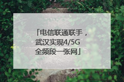 电信联通联手，武汉实现4/5G全频段一张网