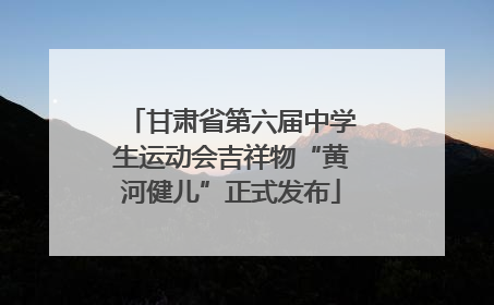 甘肃省第六届中学生运动会吉祥物“黄河健儿”正式发布