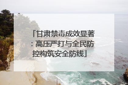 甘肃禁毒成效显著：高压严打与全民防控构筑安全防线