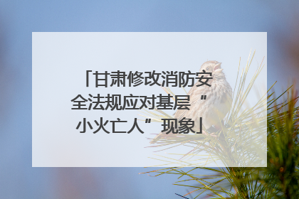 甘肃修改消防安全法规应对基层“小火亡人”现象