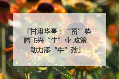 甘肃华亭：“畜”势腾飞兴“牛”业 政策助力添“牛”劲