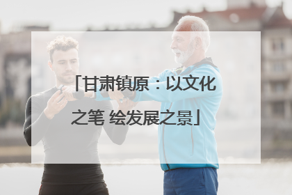 甘肃镇原：以文化之笔 绘发展之景