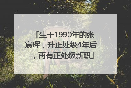 生于1990年的张宸珲，升正处级4年后，再有正处级新职