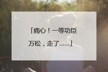 痛心！一等功臣万松，走了……