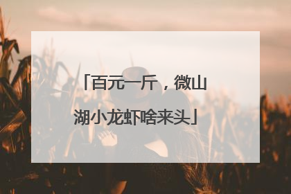 百元一斤，微山湖小龙虾啥来头