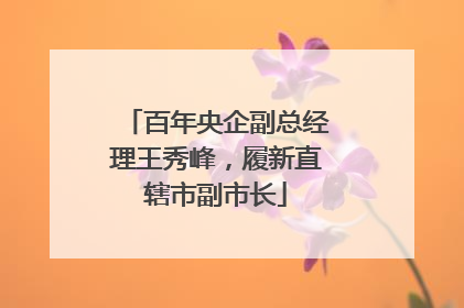 百年央企副总经理王秀峰，履新直辖市副市长