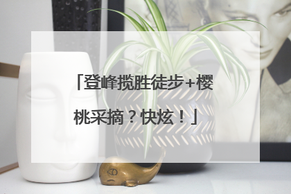 登峰揽胜徒步+樱桃采摘？快炫！