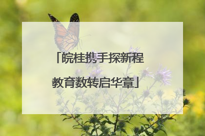 皖桂携手探新程 教育数转启华章