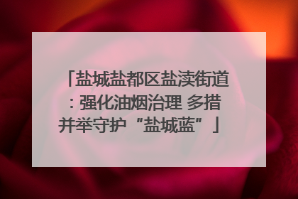 盐城盐都区盐渎街道：强化油烟治理 多措并举守护“盐城蓝”