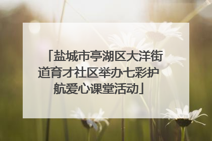 盐城市亭湖区大洋街道育才社区举办七彩护航爱心课堂活动
