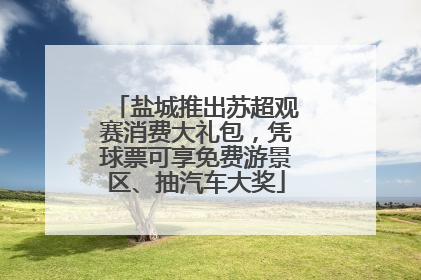 盐城推出苏超观赛消费大礼包，凭球票可享免费游景区、抽汽车大奖