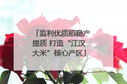 监利优质稻稳产提质 打造“江汉大米”核心产区