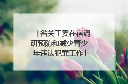 省关工委在宿调研预防和减少青少年违法犯罪工作