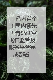 省内首个！国内领先！青岛低空飞行监管及服务平台完成部署