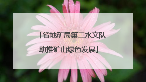 省地矿局第二水文队助推矿山绿色发展