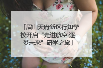 眉山天府新区行知学校开启“走进航空·逐梦未来”研学之旅