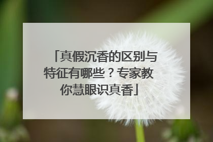 真假沉香的区别与特征有哪些？专家教你慧眼识真香