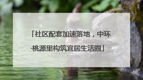 社区配套加速落地，中环·桃源里构筑宜居生活圈
