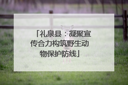 礼泉县：凝聚宣传合力构筑野生动物保护防线