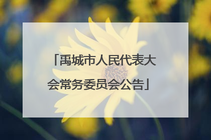 禹城市人民代表大会常务委员会公告