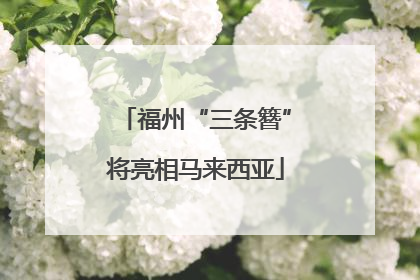 福州“三条簪”将亮相马来西亚
