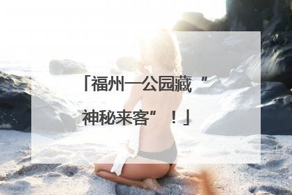 福州一公园藏“神秘来客”！