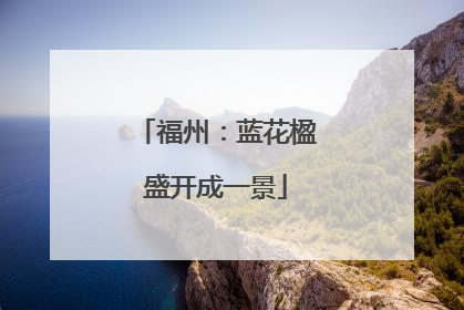 福州：蓝花楹盛开成一景