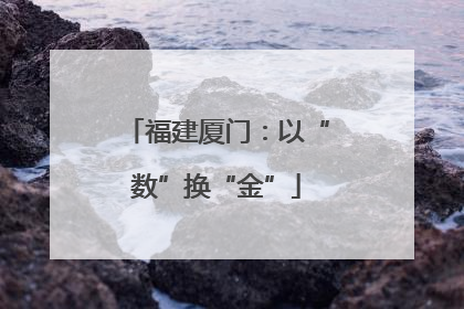 福建厦门：以“数”换“金”