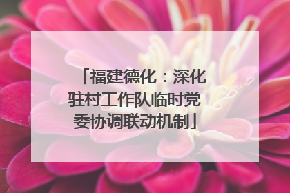 福建德化：深化驻村工作队临时党委协调联动机制