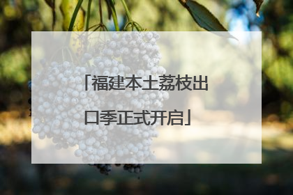 福建本土荔枝出口季正式开启