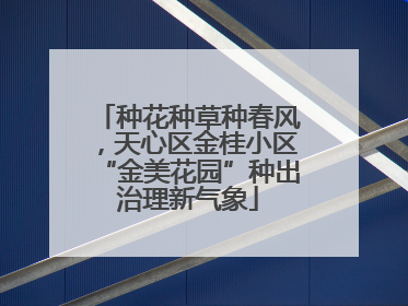 种花种草种春风，天心区金桂小区“金美花园”种出治理新气象