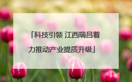 科技引领 江西瑞昌着力推动产业提质升级