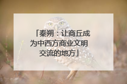 秦朔：让商丘成为中西方商业文明交流的地方