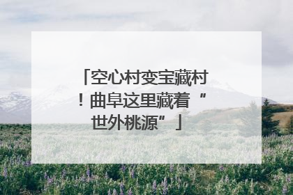 空心村变宝藏村！曲阜这里藏着“世外桃源”