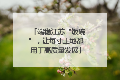 端稳江苏“饭碗”，让每寸土地都用于高质量发展