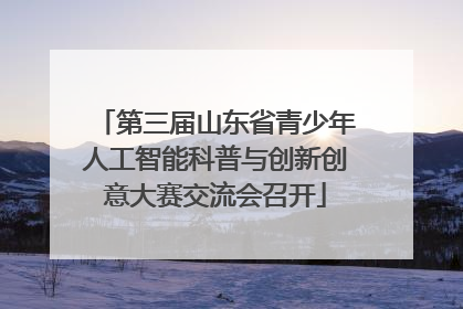 第三届山东省青少年人工智能科普与创新创意大赛交流会召开