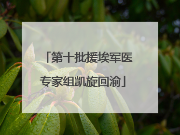 第十批援埃军医专家组凯旋回渝