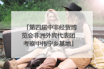 第四届中非经贸博览会非洲外宾代表团考察中伟宁乡基地