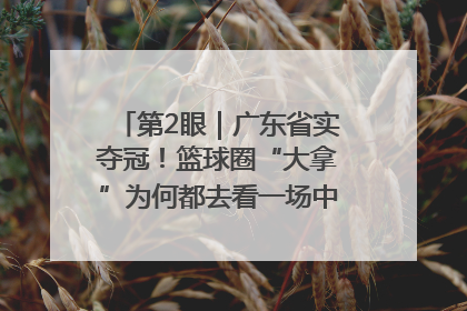 第2眼｜广东省实夺冠！篮球圈“大拿”为何都去看一场中学生比赛？